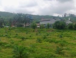 Pabrik Minyak Kelapa Sawit Milik PT PSU Di Kecamatan Lingga Bayu, Hidup Segan Mati Tak Mau