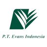 PT Evans Indonesia (MP Evans Group Plc)