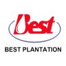 PT Best Agro International